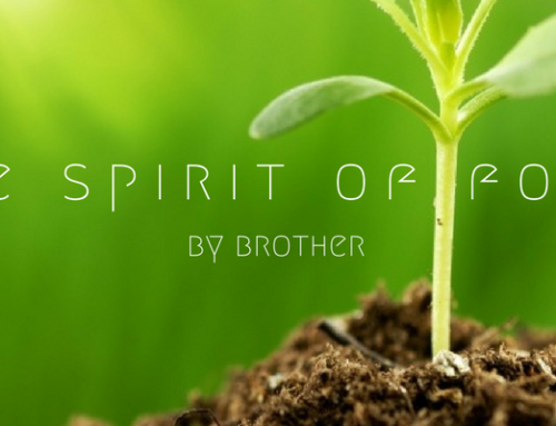 The Spirit of Food