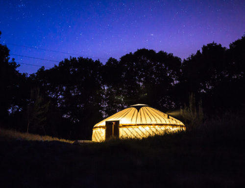 Ceremony Yurt